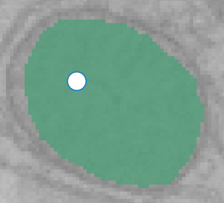 ../_images/morph-fill-after.png